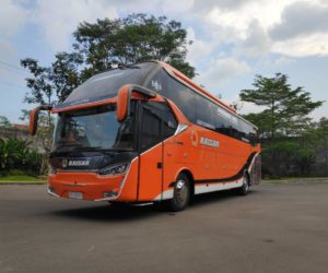 bus hino